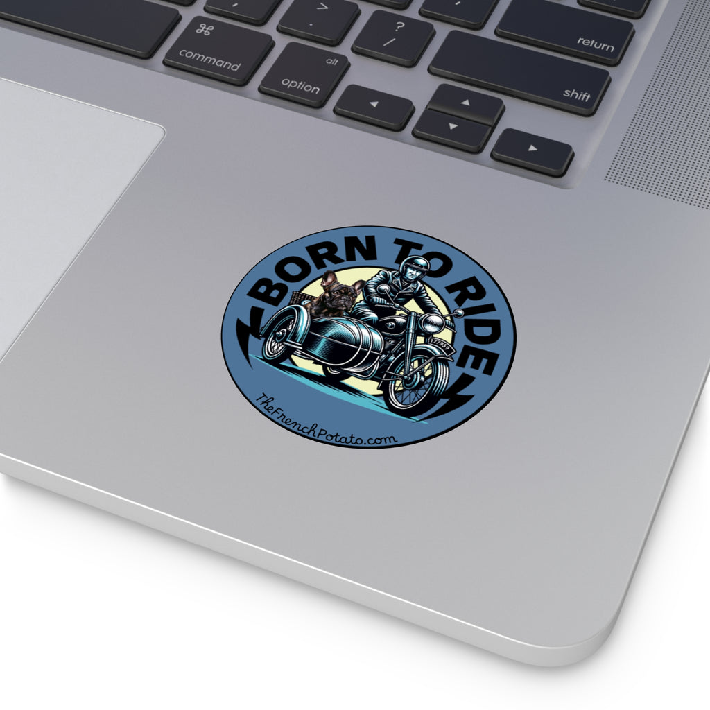 Born to ride. Frenchie in motorcycle with sidecar