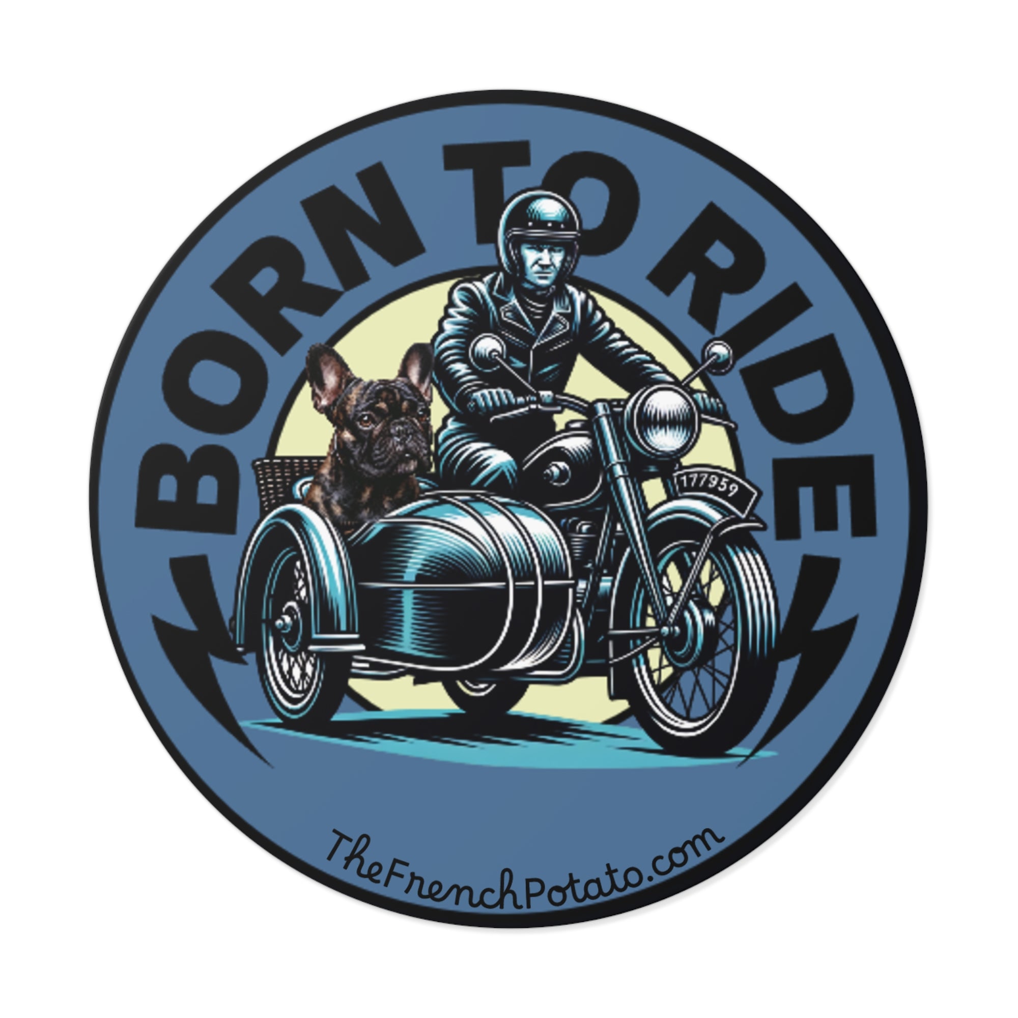Born to ride. Frenchie in motorcycle with sidecar