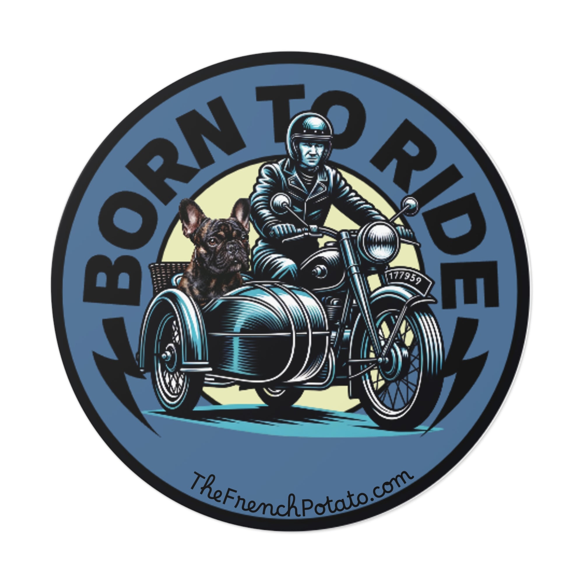 Born to ride. Frenchie in motorcycle with sidecar